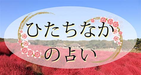 ひたちなか 占い|茨城ひたちなかの占い鑑定と占いスクール！よく当た。